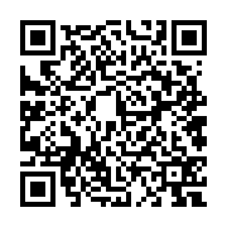QR code for 6667363