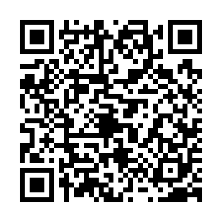 QR code for 6667500