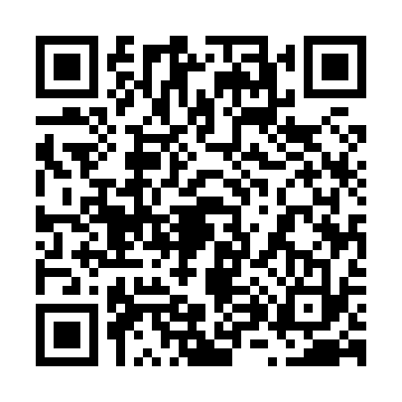 QR code for 6858333