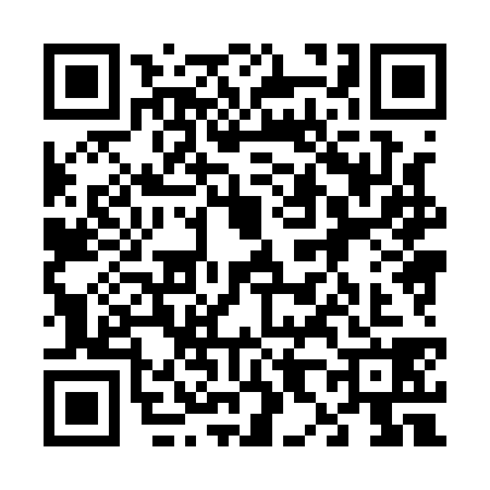 QR code for 6881385