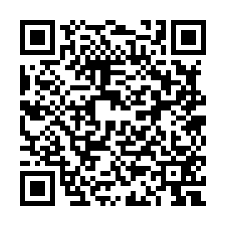 QR code for 6C38533