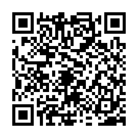 QR code for 6C93338