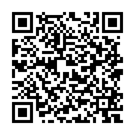 QR code for 6C95413