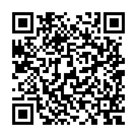 QR code for 700595G