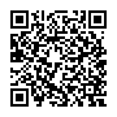 QR code for 7173463