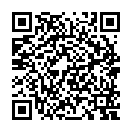 QR code for 729383Z