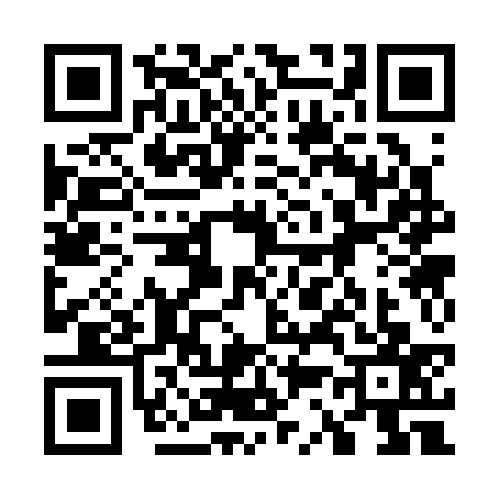 QR code for 7333376