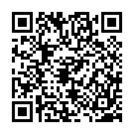 QR code for 738016Z