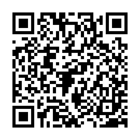 QR code for 795383Z