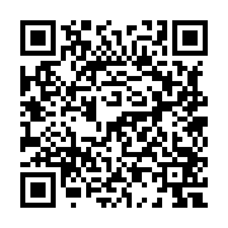 QR code for 8038431