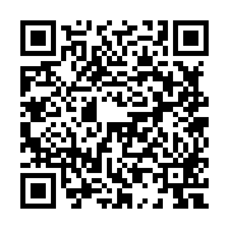 QR code for 803889Z