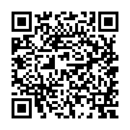 QR code for 805980Z