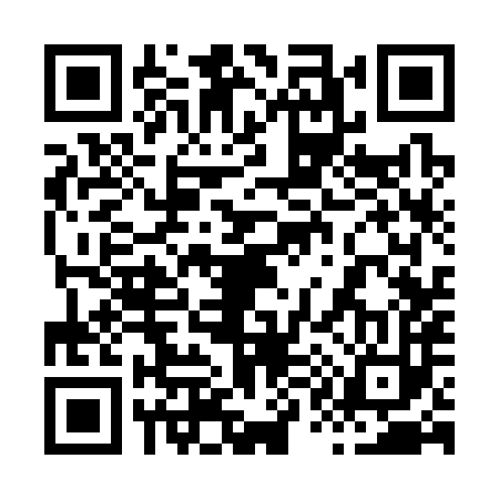QR code for 813383Y