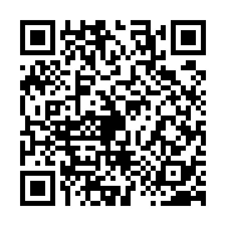 QR code for 8155382