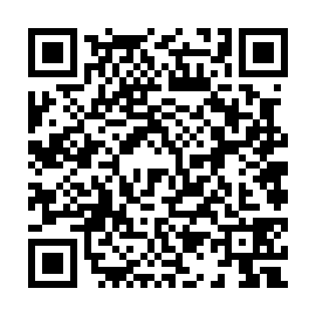 QR code for 8160381