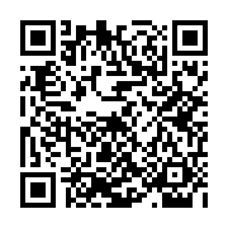 QR code for 8196211