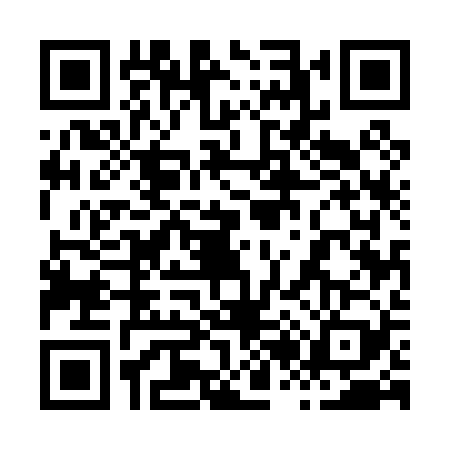 QR code for 8250294