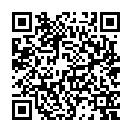 QR code for 8250365