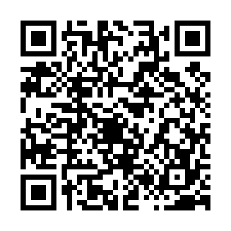 QR code for 8294762