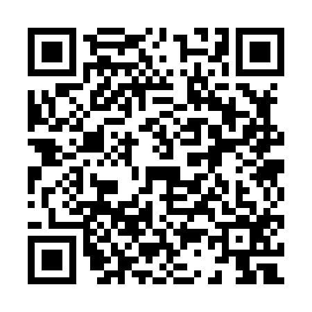 QR code for 8338162