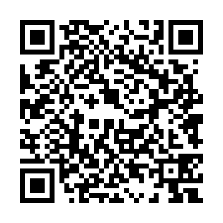 QR code for 8447383