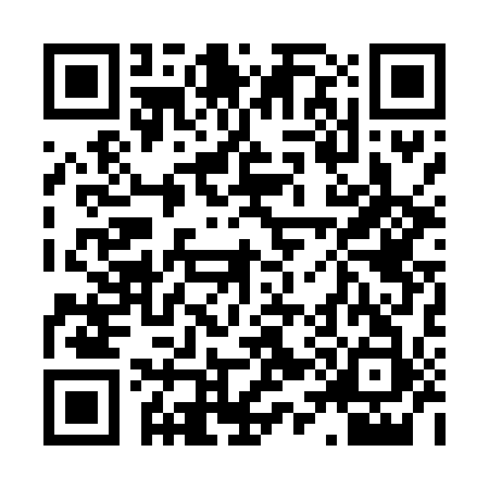 QR code for 850413T