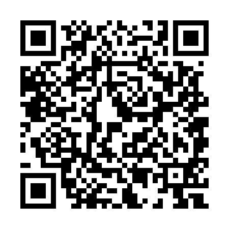 QR code for 856590G