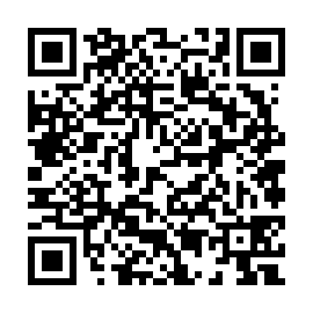 QR code for 856638R