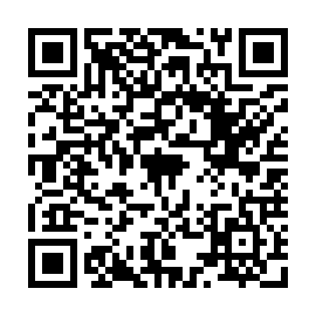 QR code for 8579253