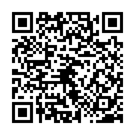QR code for 8613381