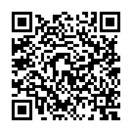 QR code for 863805Y