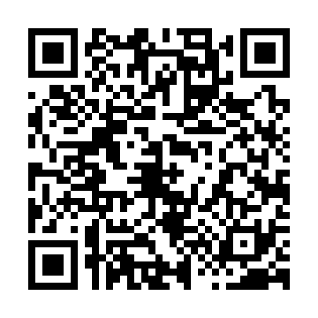 QR code for 8643313