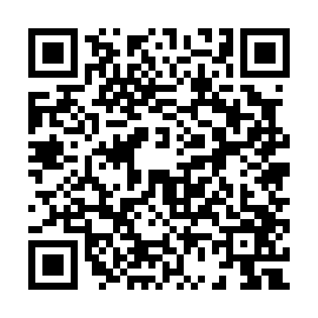 QR code for 8650463