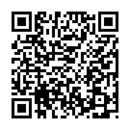 QR code for 8656718