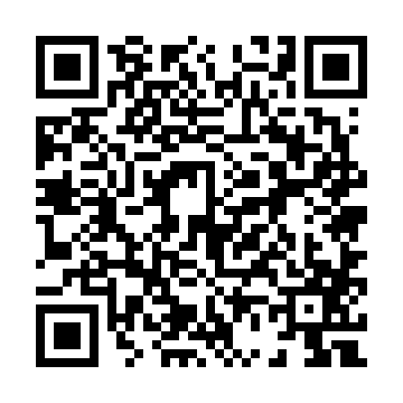 QR code for 8656871