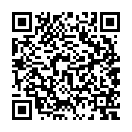 QR code for 8666043