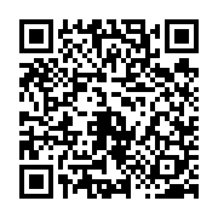QR code for 8666494