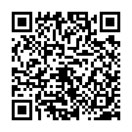 QR code for 866650S