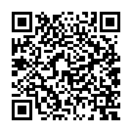 QR code for 8667662