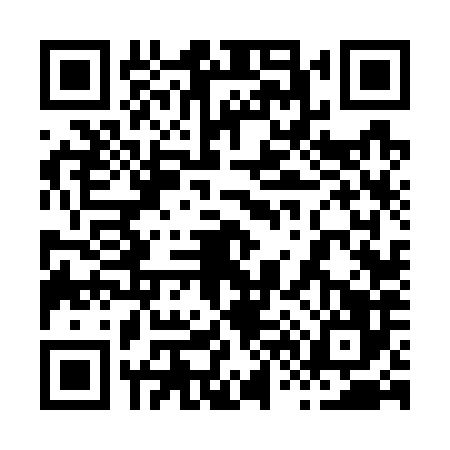 QR code for 8667869