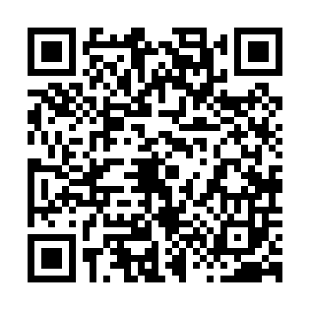 QR code for 868003I