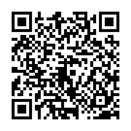QR code for 868234P
