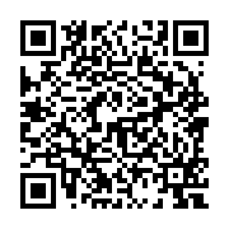 QR code for 868295P
