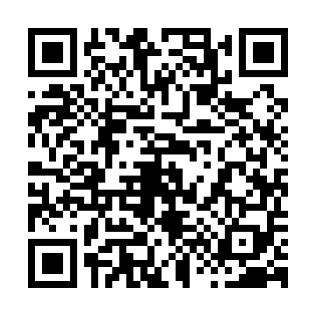 QR code for 8691593