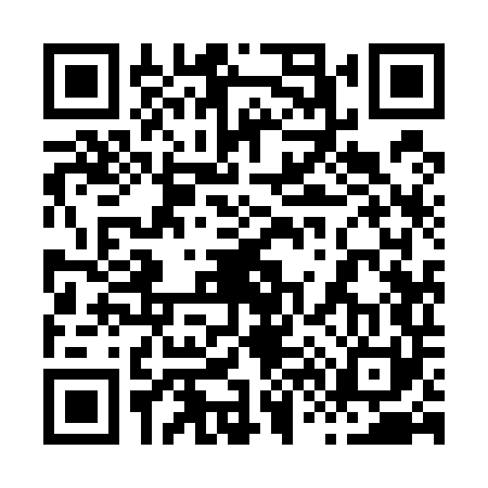 QR code for 869541P