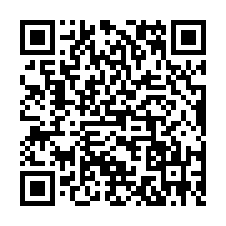 QR code for 8700138