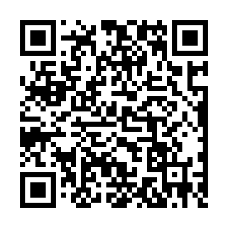 QR code for 8729667