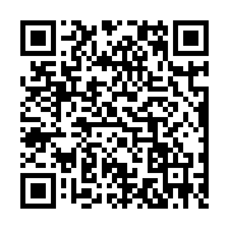 QR code for 8729745
