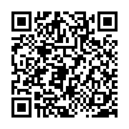 QR code for 873829X