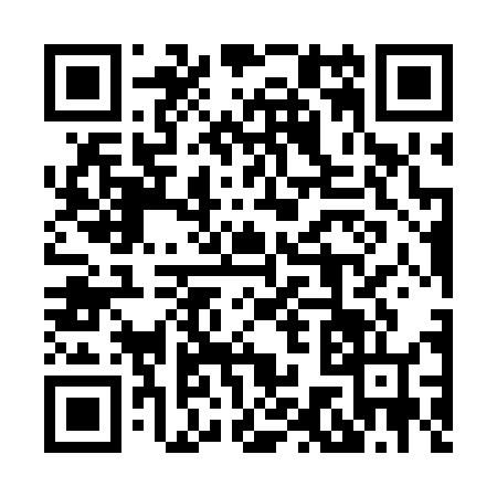 QR code for 8752461